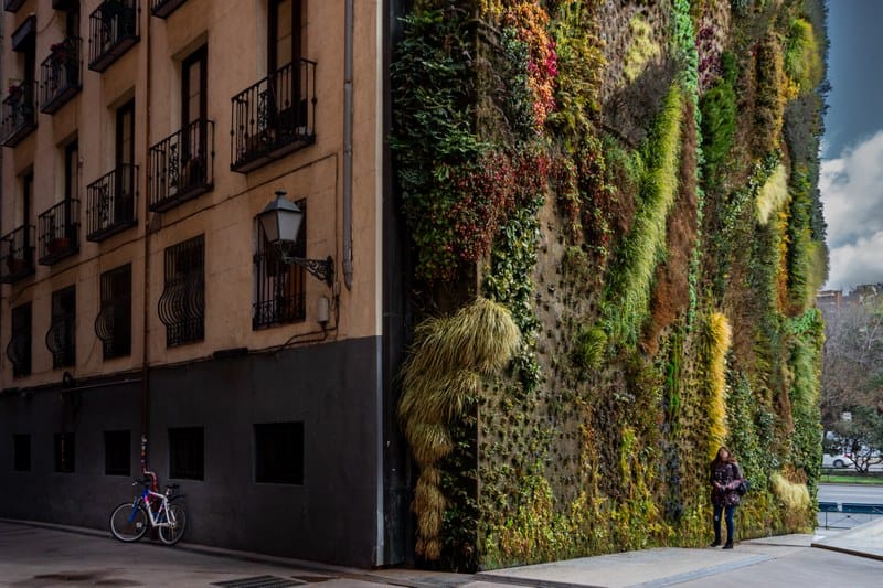 Urban Treasures - EEA photo competition 2024