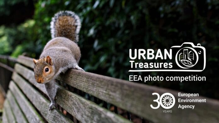 The impact of Urban Treasures 2024