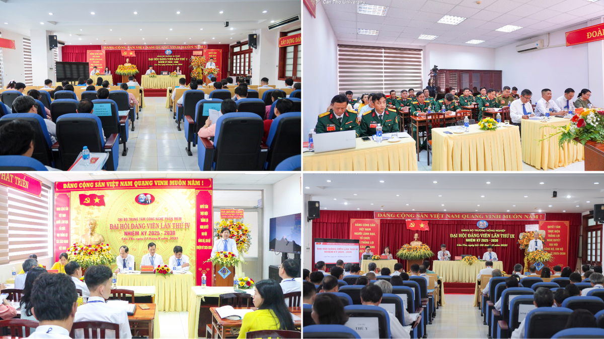 Trường Đại học Cần Thơ tổ chức thành công Đại hội Đảng bộ, Chi bộ cơ sở trực thuộc sau tinh gọn tổ chức